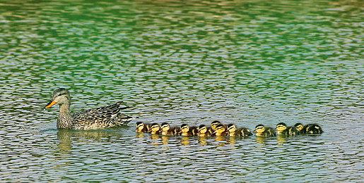 顽皮狗新作《星际：异端先知》或于2027年发售